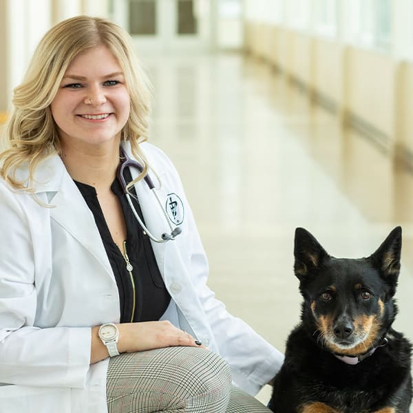 Dr. Becky Haese, Southern Wisconsin Veterinarian