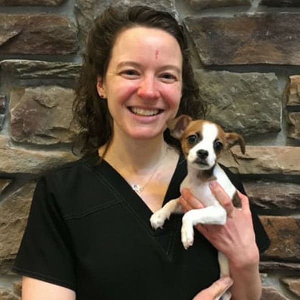 Dr. Katie Reed, Janesville Veterinarian