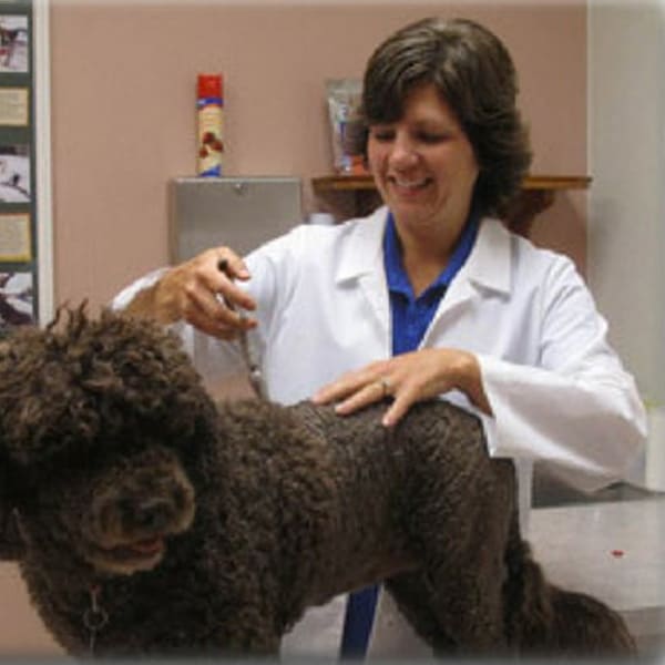 Dr. Margo Nolte, Southern Wisconsin Veterinary Chiropractic Practitioner